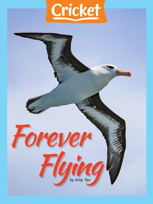 cover image of Forever Flying